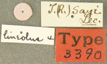 Media type: image;   Entomology 3390 Aspect: labels 3